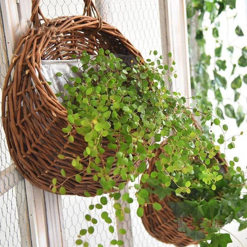 Wall-Mounted Wicker Flower Basket Handmade Rattan Flower Hanging Planter - Sterl Silver